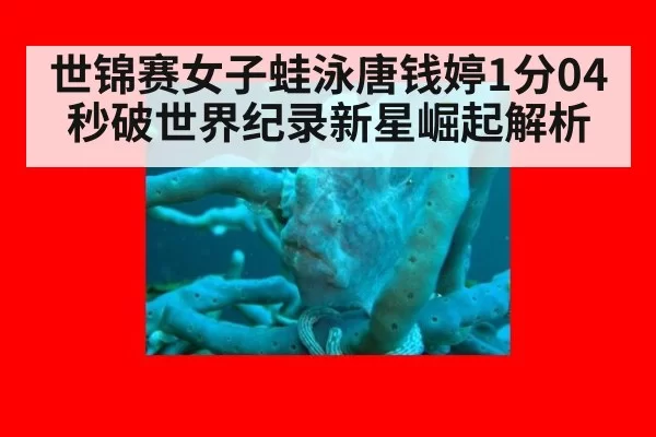 世锦赛女子蛙泳唐钱婷1分04秒破世界纪录新星崛起解析