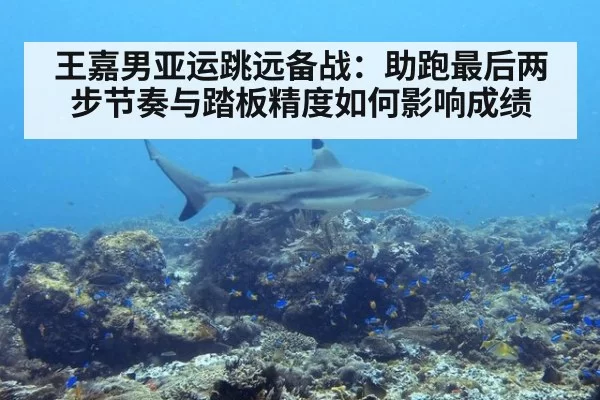 王嘉男亚运跳远备战：助跑最后两步节奏与踏板精度如何影响成绩